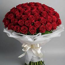 Букет 101 Красная роза Блэк Мэджик в Турыгино