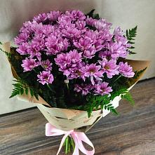 Букет цветов из:  Хризантемы #REPLACE_PRED# Турыгино