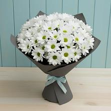 Букет цветов из:  Хризантемы #REPLACE_PRED# Турыгино