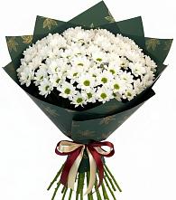 Букет цветов из:  Хризантемы #REPLACE_PRED# Турыгино