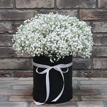 Цветочная композиция из Гипсофила в шляпной коробке в Турыгино
