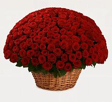 Премиум букет из: Розы в Турыгино