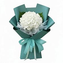 Букет цветов из:  Гортензия #REPLACE_PRED# Турыгино